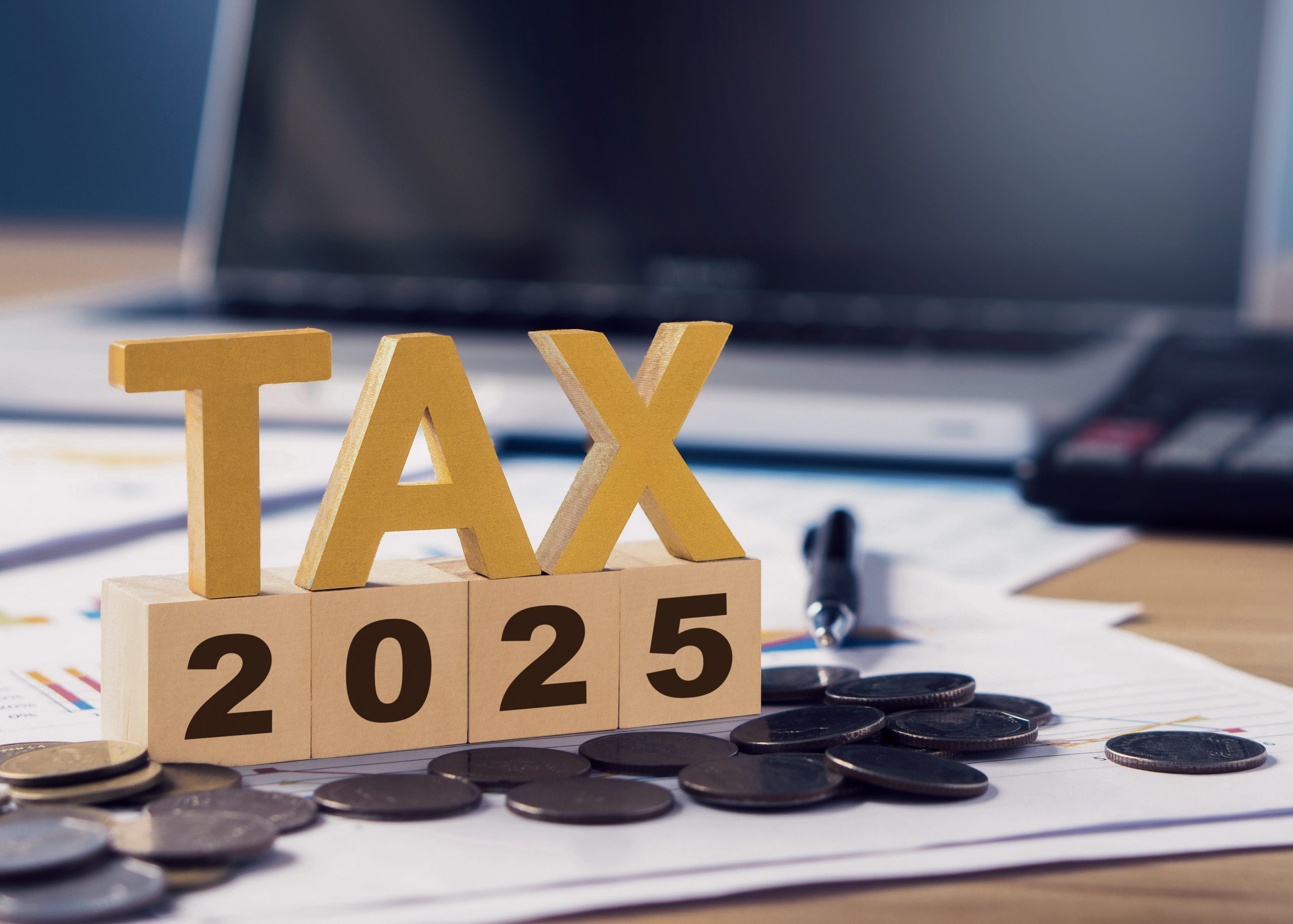 2025 SARS Tax Season