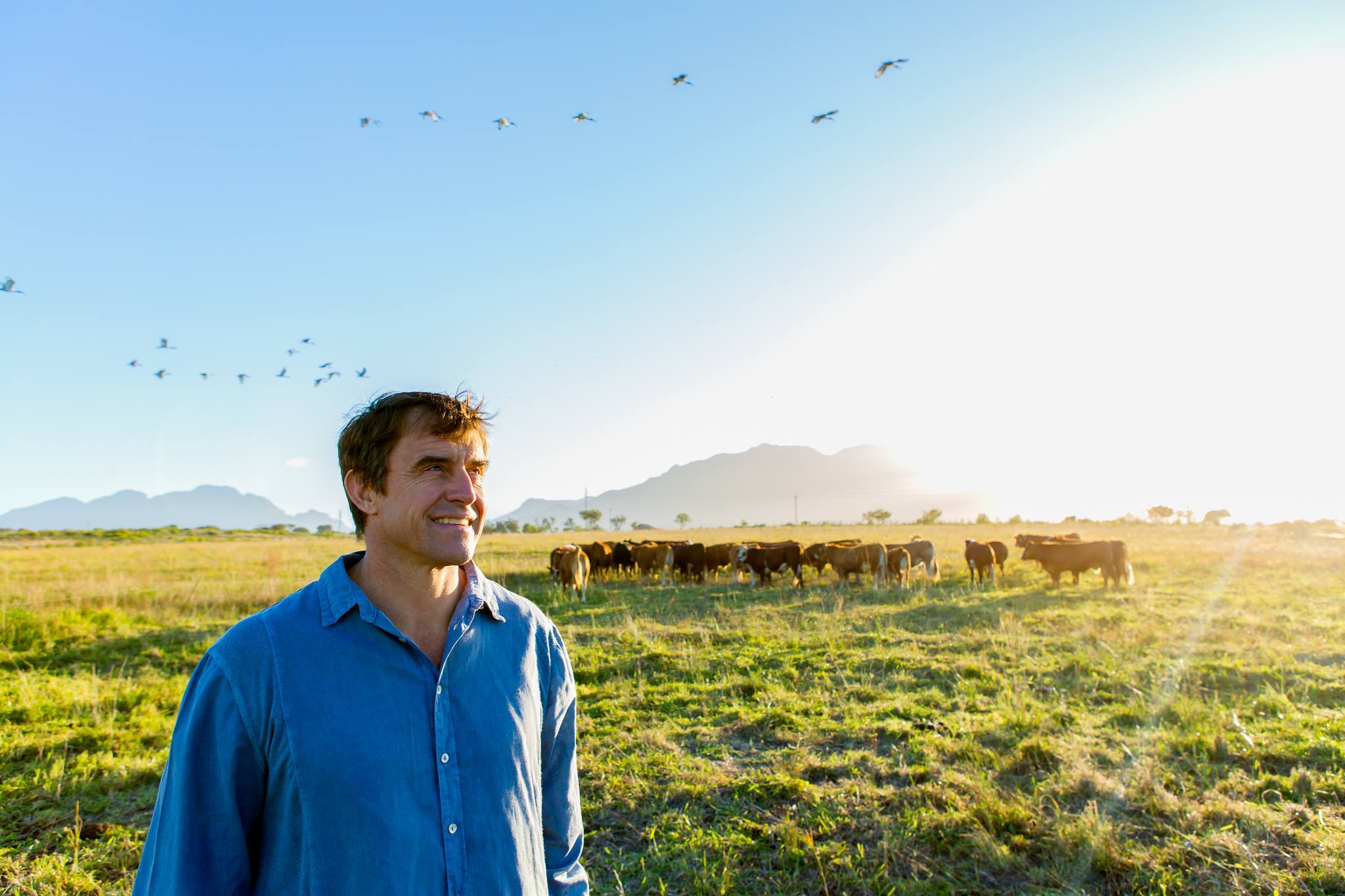 Case Study: How Spier Farmer Angus Simplified Stock Management with myStock and Sage Accounting TallOrder POS